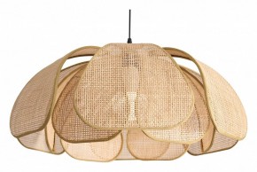 Подвесной светильник Freya Cocoon FR5529PL-01B в Югорске - yugorsk.ok-mebel.com | фото