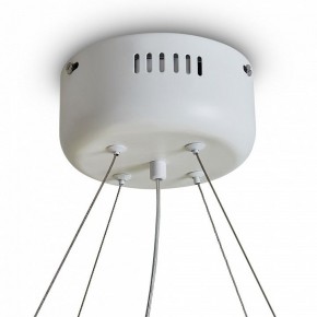 Подвесной светильник Freya Rain FR5546PL-L60W в Югорске - yugorsk.ok-mebel.com | фото 9