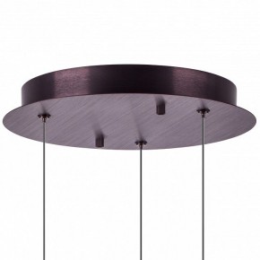 Подвесной светильник Lightstar Caramello 796139 в Югорске - yugorsk.ok-mebel.com | фото 13