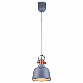 Подвесной светильник Lucia Tucci Industrial INDUSTRIAL 1820.1 SAND SILVER в Югорске - yugorsk.ok-mebel.com | фото 2