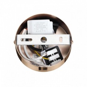 Подвесной светильник Lumion Cristie 8009/6L в Югорске - yugorsk.ok-mebel.com | фото 6