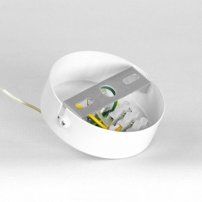Подвесной светильник Lussole Gregg LSP-8965 в Югорске - yugorsk.ok-mebel.com | фото 7