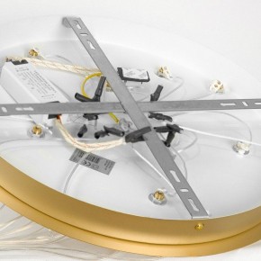 Подвесной светильник Lussole Hopkins LSP-7404 в Югорске - yugorsk.ok-mebel.com | фото 4