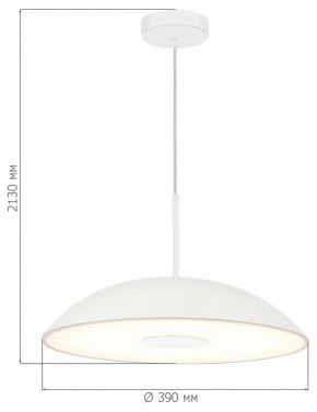 Подвесной светильник ST-Luce Lido SL6128.503.01 в Югорске - yugorsk.ok-mebel.com | фото 4