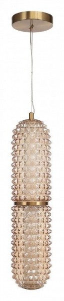 Подвесной светильник ST-Luce SAGUARO SL6144.303.01 в Югорске - yugorsk.ok-mebel.com | фото 3