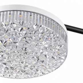 Потолочная люстра Lumion Didana 8236/4CL в Югорске - yugorsk.ok-mebel.com | фото 10