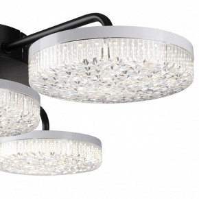 Потолочная люстра Lumion Didana 8236/4CL в Югорске - yugorsk.ok-mebel.com | фото 7