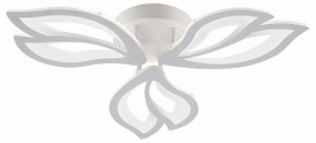 Потолочная люстра Natali Kovaltseva FORTUNA LED LAMPS 81107/2C в Югорске - yugorsk.ok-mebel.com | фото