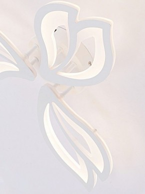 Потолочная люстра Natali Kovaltseva FORTUNA LED LAMPS 81107/2C в Югорске - yugorsk.ok-mebel.com | фото 11