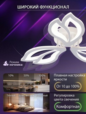 Потолочная люстра Natali Kovaltseva FORTUNA LED LAMPS 81107/2C в Югорске - yugorsk.ok-mebel.com | фото 5