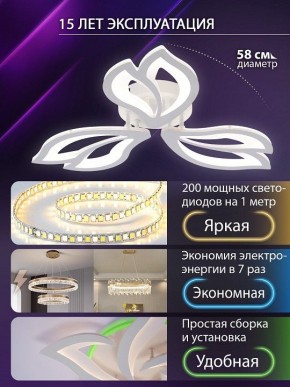 Потолочная люстра Natali Kovaltseva FORTUNA LED LAMPS 81107/2C в Югорске - yugorsk.ok-mebel.com | фото 6