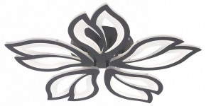 Потолочная люстра Natali Kovaltseva FORTUNA LED LAMPS 81107/5C в Югорске - yugorsk.ok-mebel.com | фото