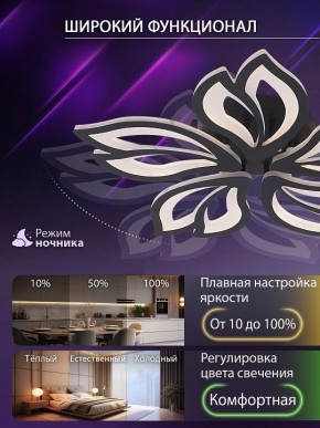 Потолочная люстра Natali Kovaltseva FORTUNA LED LAMPS 81107/5C в Югорске - yugorsk.ok-mebel.com | фото 6