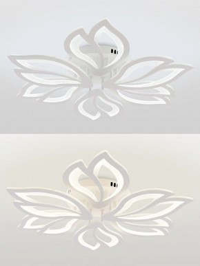 Потолочная люстра Natali Kovaltseva FORTUNA LED LAMPS 81107/6C в Югорске - yugorsk.ok-mebel.com | фото 4