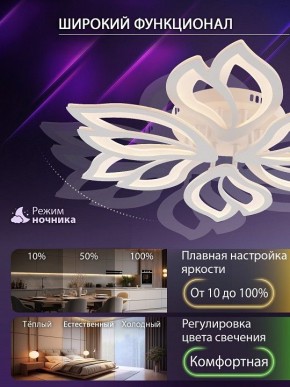 Потолочная люстра Natali Kovaltseva FORTUNA LED LAMPS 81107/6C в Югорске - yugorsk.ok-mebel.com | фото 6