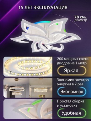 Потолочная люстра Natali Kovaltseva OLIMP LED LAMPS 81435 в Югорске - yugorsk.ok-mebel.com | фото 5