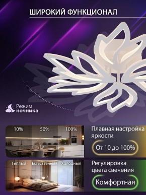 Потолочная люстра Natali Kovaltseva RIF LED LAMPS 81118/5C в Югорске - yugorsk.ok-mebel.com | фото 6