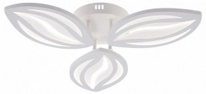 Потолочная люстра Natali Kovaltseva SM LED LAMPS 81456 в Югорске - yugorsk.ok-mebel.com | фото
