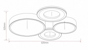 Потолочная люстра Rivoli Aliona Б0066451 в Югорске - yugorsk.ok-mebel.com | фото 11