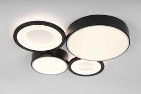 Потолочная люстра Rivoli Aliona Б0066451 в Югорске - yugorsk.ok-mebel.com | фото 6