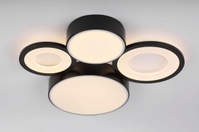 Потолочная люстра Rivoli Aliona Б0066451 в Югорске - yugorsk.ok-mebel.com | фото 8