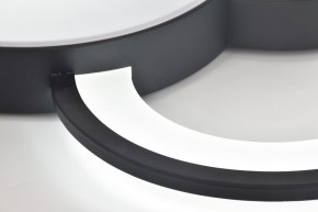 Потолочная люстра Rivoli Aliona Б0066452 в Югорске - yugorsk.ok-mebel.com | фото 10