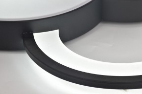 Потолочная люстра Rivoli Aliona Б0066452 в Югорске - yugorsk.ok-mebel.com | фото 12