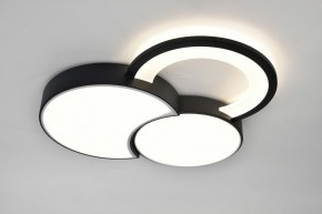 Потолочная люстра Rivoli Aliona Б0066452 в Югорске - yugorsk.ok-mebel.com | фото 7