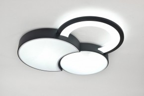Потолочная люстра Rivoli Aliona Б0066452 в Югорске - yugorsk.ok-mebel.com | фото 8