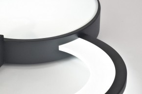 Потолочная люстра Rivoli Aliona Б0066452 в Югорске - yugorsk.ok-mebel.com | фото 9