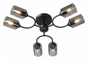 Потолочная люстра Vitaluce V2823 V2823-1/6PL в Югорске - yugorsk.ok-mebel.com | фото 2
