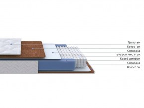 PROxSON Матрас Active F Roll (Ткань Трикотаж Эко) 160x200 в Югорске - yugorsk.ok-mebel.com | фото 3