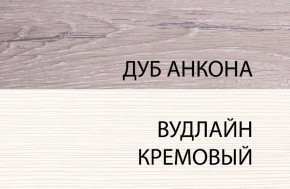 Шкаф 1DW, OLIVIA, цвет вудлайн крем/дуб анкона в Югорске - yugorsk.ok-mebel.com | фото 3
