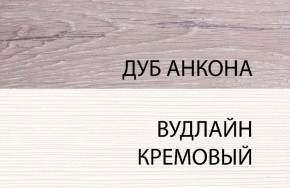 Шкаф 1DZ, OLIVIA, цвет вудлайн крем/дуб анкона в Югорске - yugorsk.ok-mebel.com | фото 3