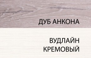 Шкаф 2DG, OLIVIA, цвет вудлайн крем/дуб анкона в Югорске - yugorsk.ok-mebel.com | фото 3