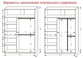 Шкаф-купе 1600 серии SOFT D6+D4+B2+PL2 (2 ящика+1штанга+1 полка) профиль «Капучино» в Югорске - yugorsk.ok-mebel.com | фото 9