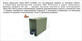 Шкаф-купе 2450 серии NEW CLASSIC K6Z+K1+K6+B22+PL2 (по 2 ящика лев/прав+1 штанга+1 полка) профиль «Капучино» в Югорске - yugorsk.ok-mebel.com | фото 17