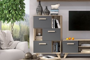 Шкаф низкий с нишами Вега Скандинавия в Югорске - yugorsk.ok-mebel.com | фото 6