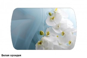 Стол Бостон 900*600 (опоры Брифинг) Стекло/фотопечать Белая Орхидея в Югорске - yugorsk.ok-mebel.com | фото