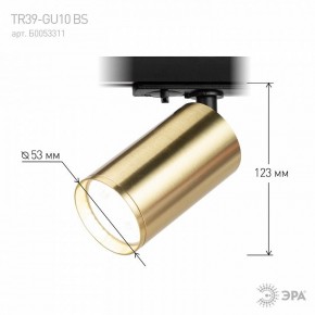 Светильник на штанге Эра  TR39-GU10 BS в Югорске - yugorsk.ok-mebel.com | фото 6