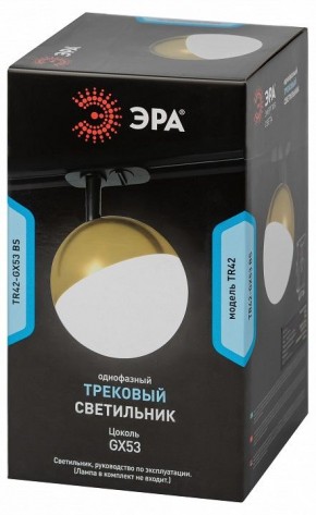 Светильник на штанге Эра  TR42-GX53 BS в Югорске - yugorsk.ok-mebel.com | фото 6