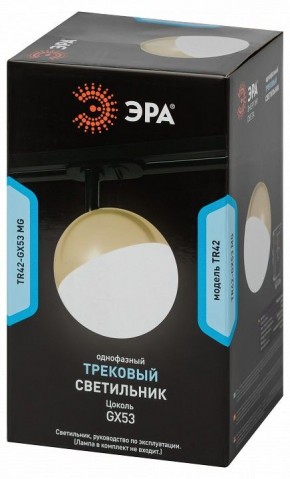 Светильник на штанге Эра  TR42-GX53 MG в Югорске - yugorsk.ok-mebel.com | фото 6
