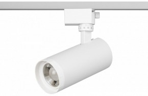 Светильник на штанге Эра  TR59 - 2040 WH в Югорске - yugorsk.ok-mebel.com | фото 2