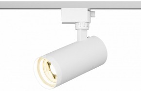 Светильник на штанге Эра  TR59 - 2040 WH в Югорске - yugorsk.ok-mebel.com | фото 5