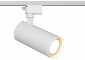 Светильник на штанге Эра  TR59 - 3030 WH в Югорске - yugorsk.ok-mebel.com | фото