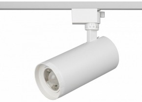Светильник на штанге Эра  TR59 - 3030 WH в Югорске - yugorsk.ok-mebel.com | фото 2