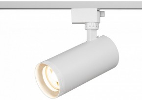 Светильник на штанге Эра  TR59 - 3030 WH в Югорске - yugorsk.ok-mebel.com | фото 5