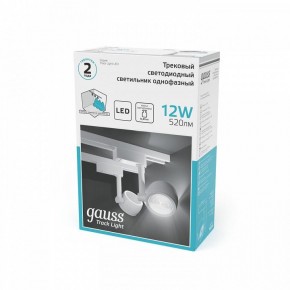 Светильник на штанге Gauss Track Light TR054 в Югорске - yugorsk.ok-mebel.com | фото 5