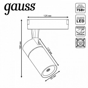 Светильник на штанге Gauss Track Light TR060 в Югорске - yugorsk.ok-mebel.com | фото 5
