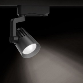 Светильник на штанге Gauss Track Light TR061 в Югорске - yugorsk.ok-mebel.com | фото 2